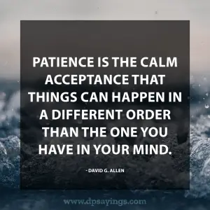 198 Patience Quotes To Stay With Grit While Waiting - DP Sayings