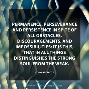 158 Perseverance Quotes And Sayings That Will Inspire You - DP Sayings