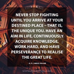 87 Perseverance Quotes And Sayings That Will Inspire You - DP Sayings