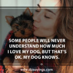 93 Dog Quotes And Sayings Will Tell The Greatness Of Dogs - DP Sayings