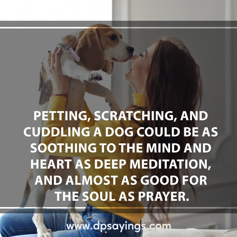 18 dog quotes and sayings