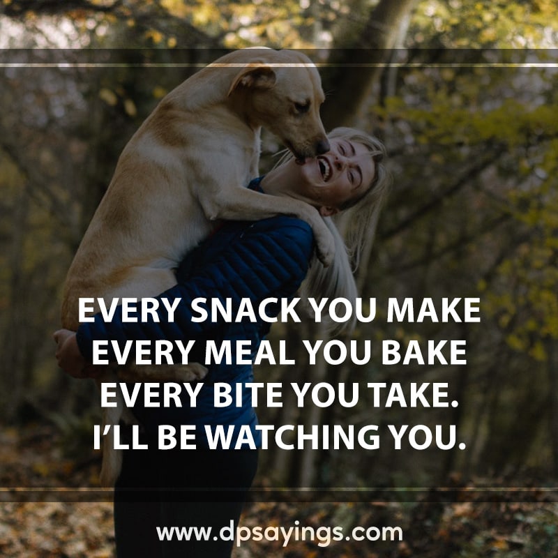 6 love for dog quotes and sayings