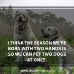 93 Dog Quotes And Sayings Will Tell The Greatness Of Dogs - DP Sayings