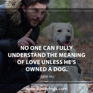 93 Dog Quotes And Sayings Will Tell The Greatness Of Dogs - DP Sayings