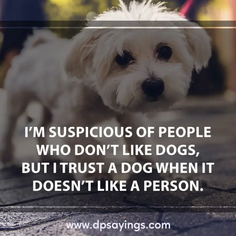93 Dog Quotes And Sayings Will Tell The Greatness Of Dogs - DP Sayings