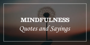 76 Mindfulness Quotes That Will Make You Still - DP Sayings