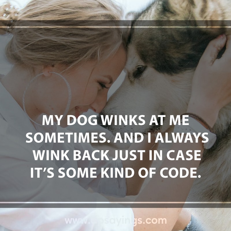 dog quotes and sayings