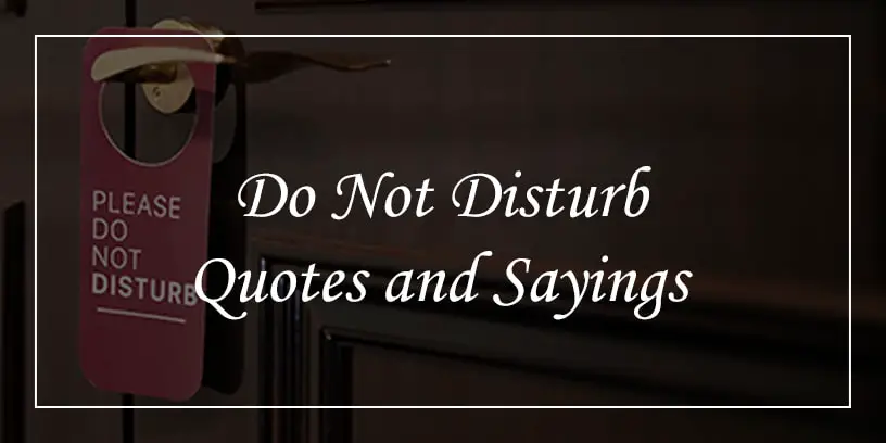 do not disturb quotes and sayings