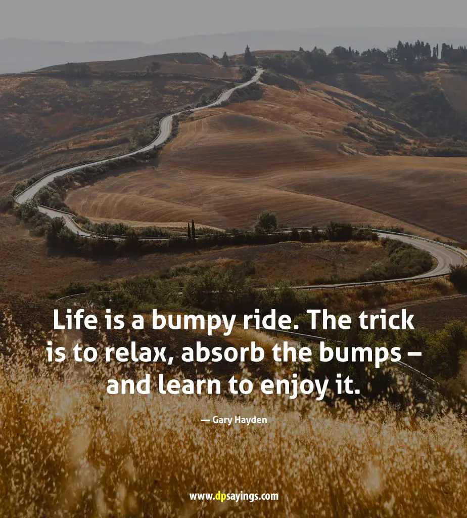 Life is a bumpy ride. The trick is to relax, absorb the bumps - and learn to enjoy it.