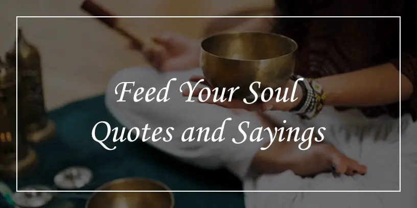 feed your soul quotes