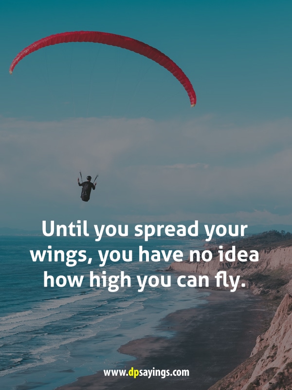 Until you spread your wings, you have no idea how high you can fly.