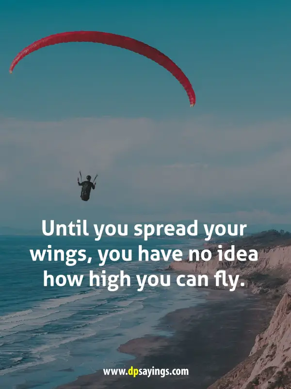 108 Fly High Quotes To Reach The Stars DP Sayings