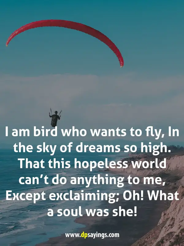 let your dreams fly high quotes