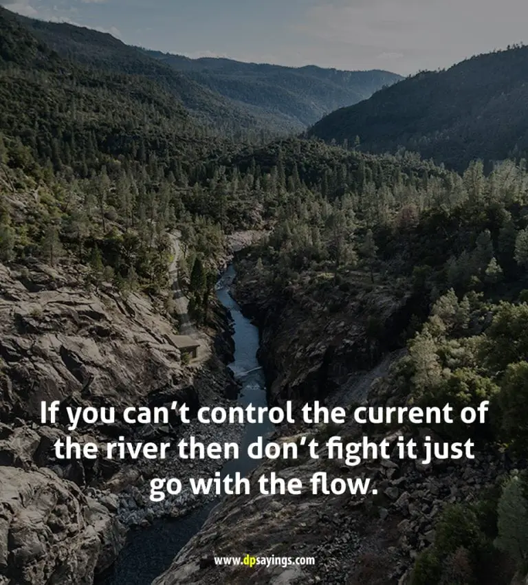 61 Go With Flow Quotes And Sayings - DP Sayings