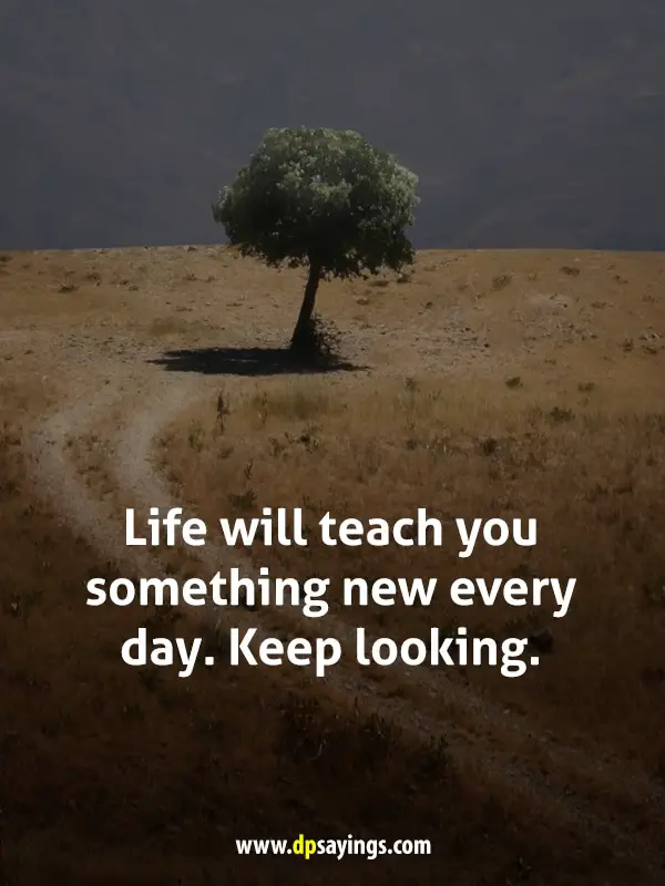 Life will teach you something new every day. Keep looking.