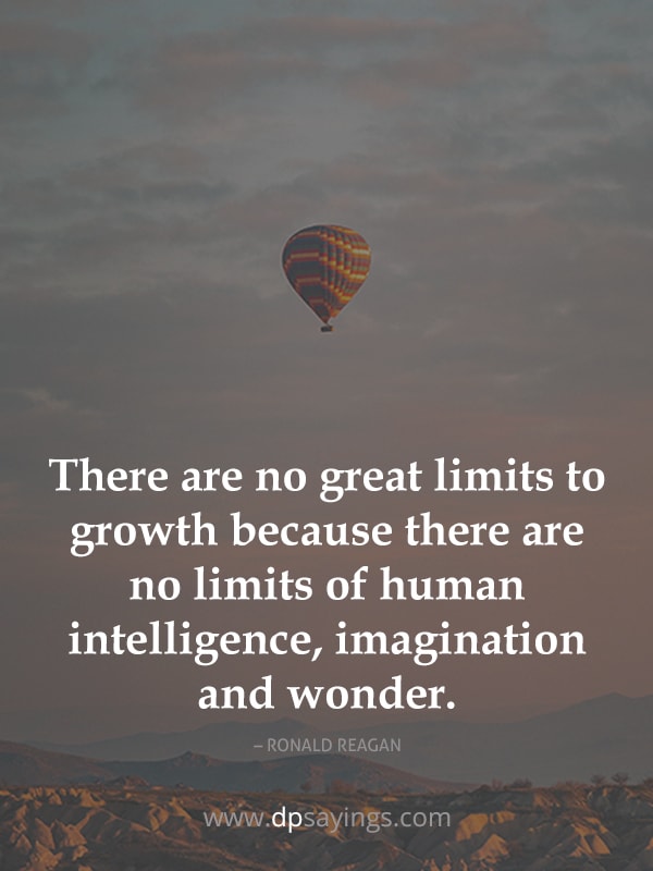 there are no limits to growth.