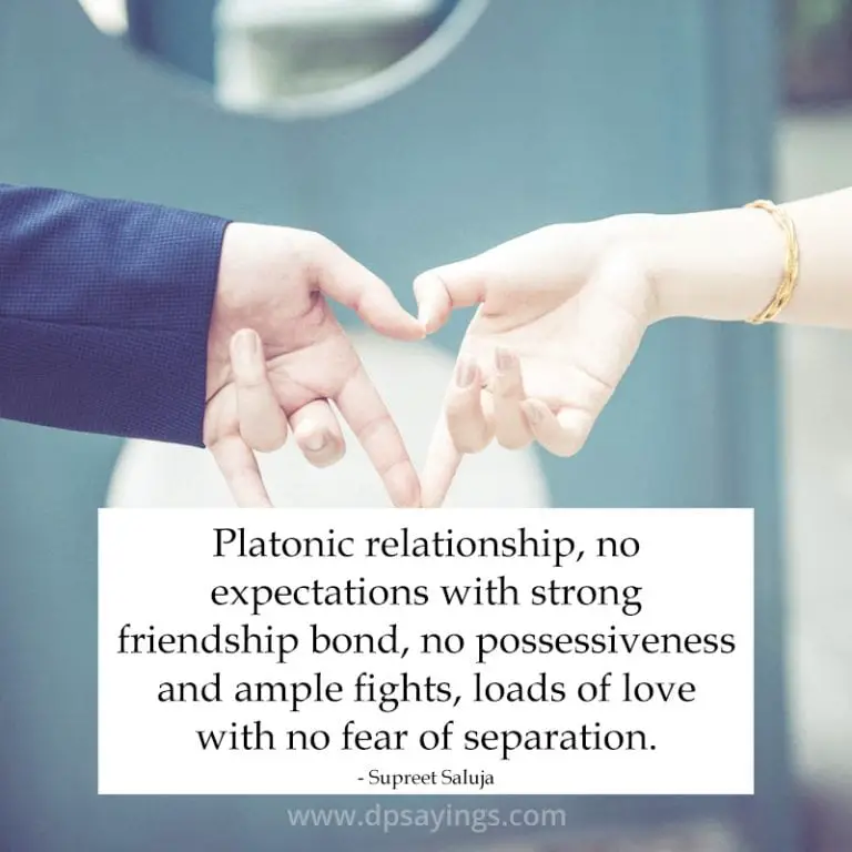 essay about platonic love