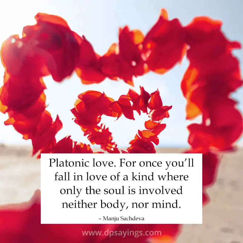 deep platonic love quotes	
