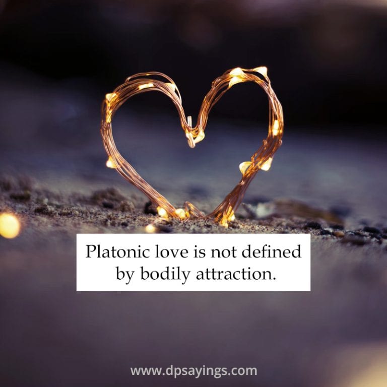 essay about platonic love