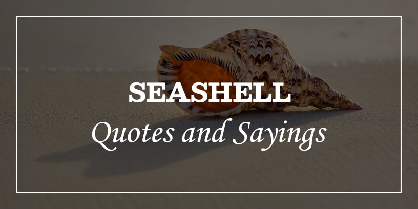 seashell quotes and sayings