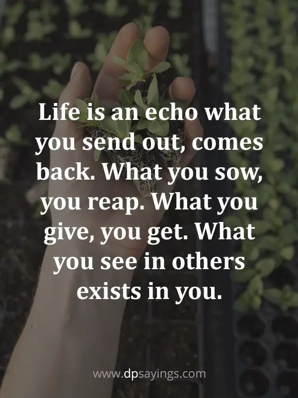 what you sow is what you reap quotes