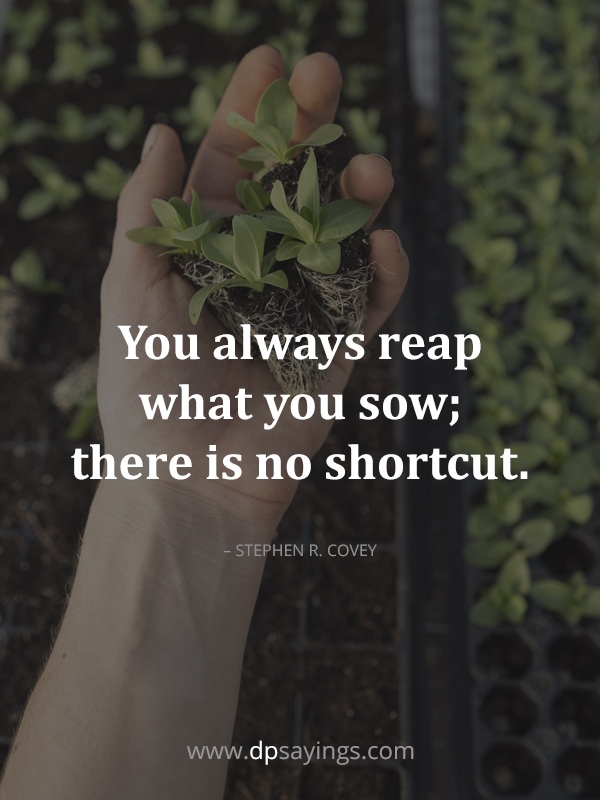 You always reap what you sow; there is no shortcut.