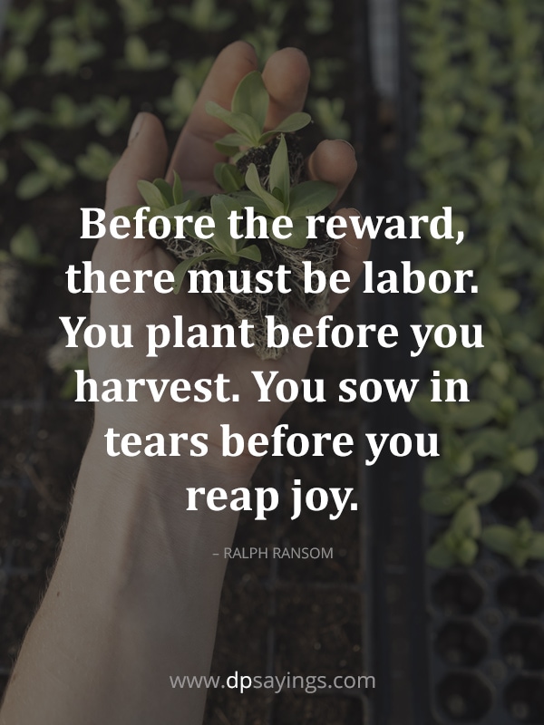 you reap what you sow quotes