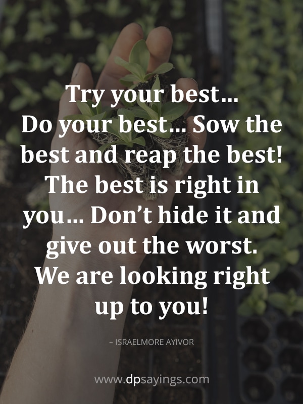 you reap what you sow quotes 45