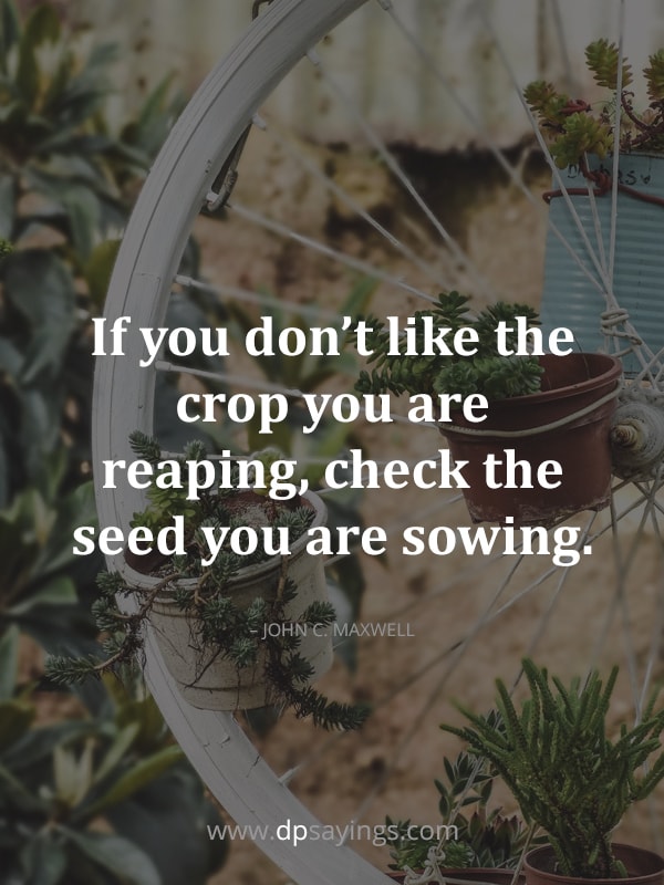 “If you don’t like the crop you are reaping, check the seed you are sowing.” – John C. Maxwell